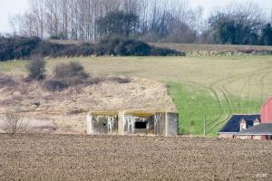 Ligne Maginot - BEF 667 - QUENPOINNE Nord (Blockhaus pour canon) - 