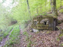 Ligne Maginot - FM28 - TRAUTBACH 2 - (Blockhaus pour arme infanterie) - Le blockhaus bordant le chemin du Trautbach