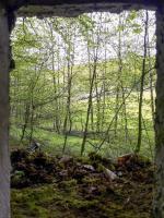 Ligne Maginot - FM28 - TRAUTBACH 2 - (Blockhaus pour arme infanterie) - Vue du créneau frontal, sur le vallon de Weibersloch