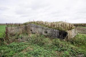 Ligne Maginot - BEF 665 - CHAPELLE AUX ARBRES 5 - (Blockhaus pour arme infanterie) - 