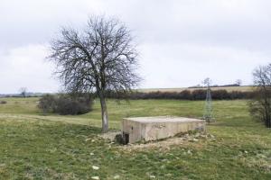 Ligne Maginot - DELLWIESE OUEST - (Blockhaus pour arme infanterie) - Vue generale