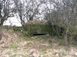 Ligne Maginot - FERME WELSCHHOF - (Observatoire d'artillerie) - Vue générale