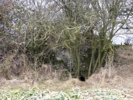 Ligne Maginot - FERME WELSCHHOF - (Observatoire d'artillerie) - Façade arriere