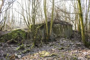 Ligne Maginot - GROS REDERCHING EST 1 - (Blockhaus pour arme infanterie) - La facade de tir