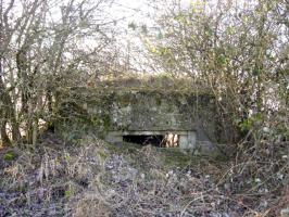 Ligne Maginot - GUCKENBERG 7 - (Blockhaus pour arme infanterie) - Façade de tir