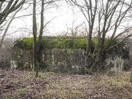 Ligne Maginot - HAMMELSWIESE 5 - (Casemate d'infanterie) - Vue générale