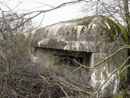 Ligne Maginot - HAMMELSWIESE 5 - (Casemate d'infanterie) - Façade de tir Ouest