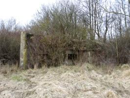 Ligne Maginot - HAMMELSWIESE 5 - (Casemate d'infanterie) - Façade de tir Est
Créneau du canon et faux créneau du mur d'aile