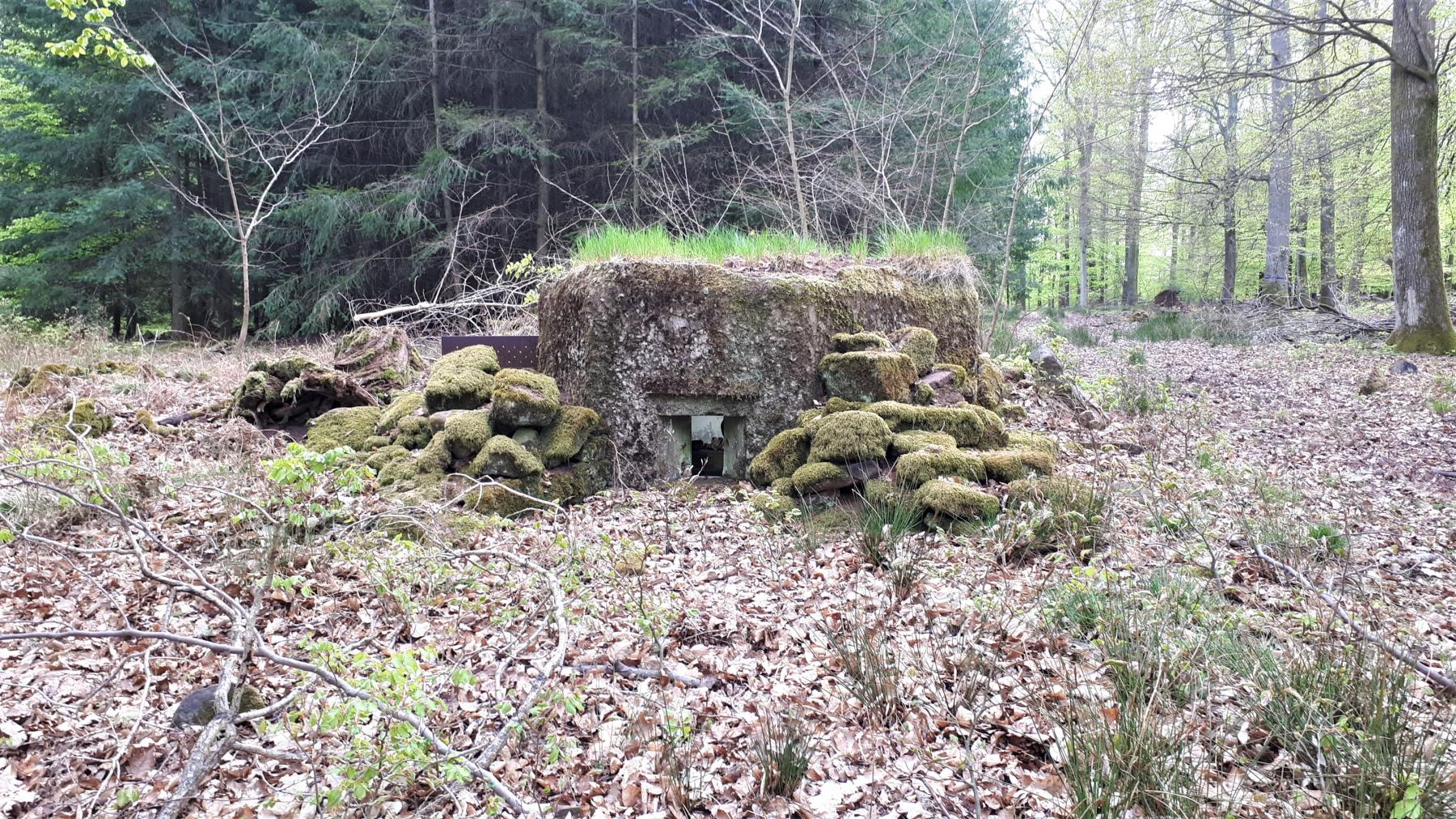 Ligne Maginot - FM36 - HOHLSTEIN 2 - (Blockhaus pour arme infanterie) - Créneau droit