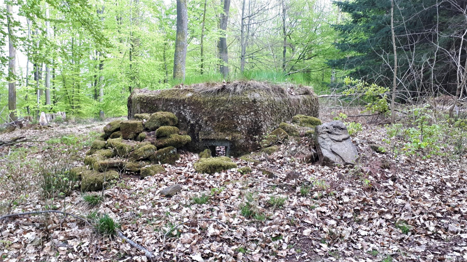 Ligne Maginot - FM36 - HOHLSTEIN 2 - (Blockhaus pour arme infanterie) - Créneau frontal