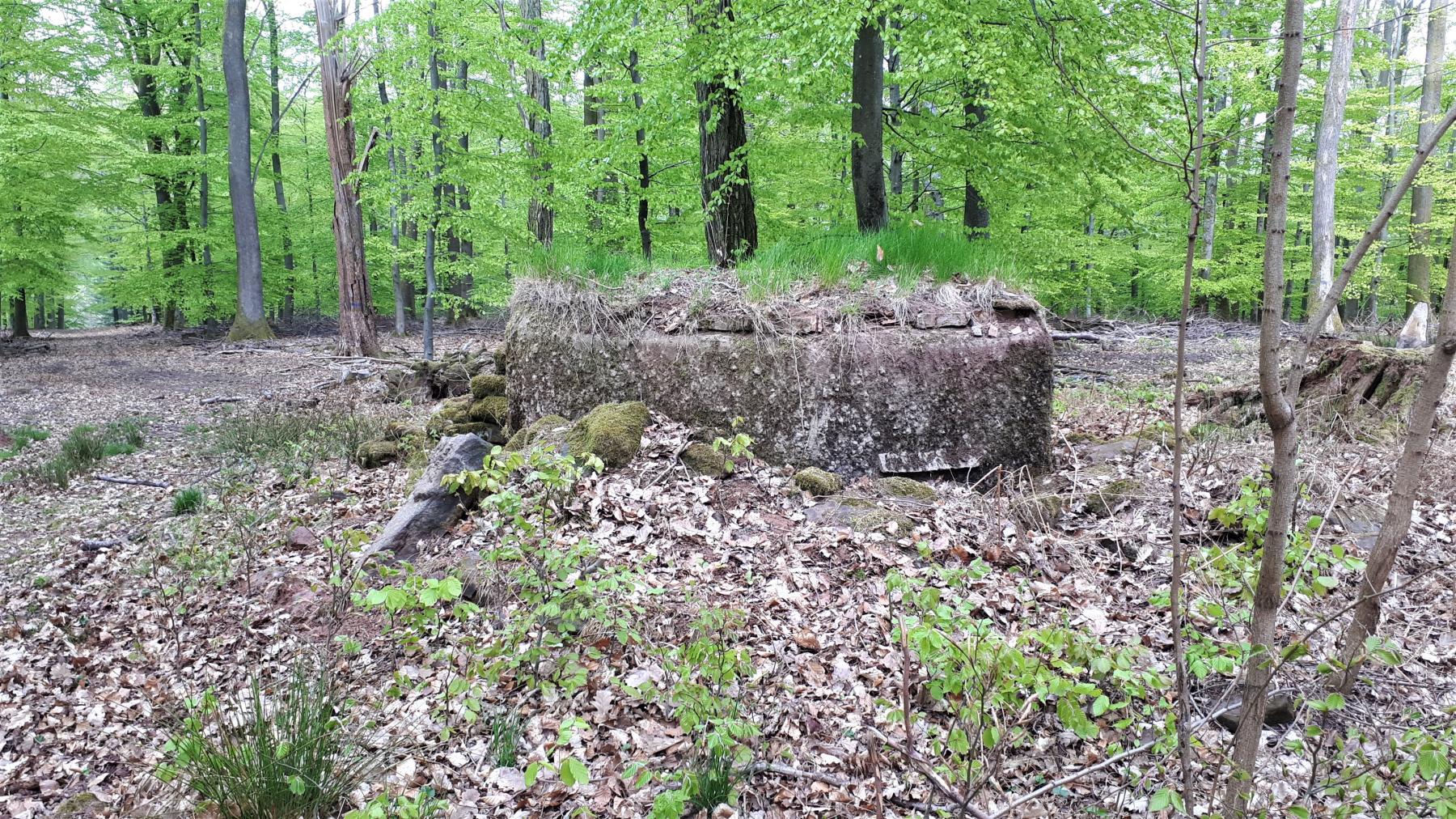 Ligne Maginot - FM36 - HOHLSTEIN 2 - (Blockhaus pour arme infanterie) - Créneau gauche