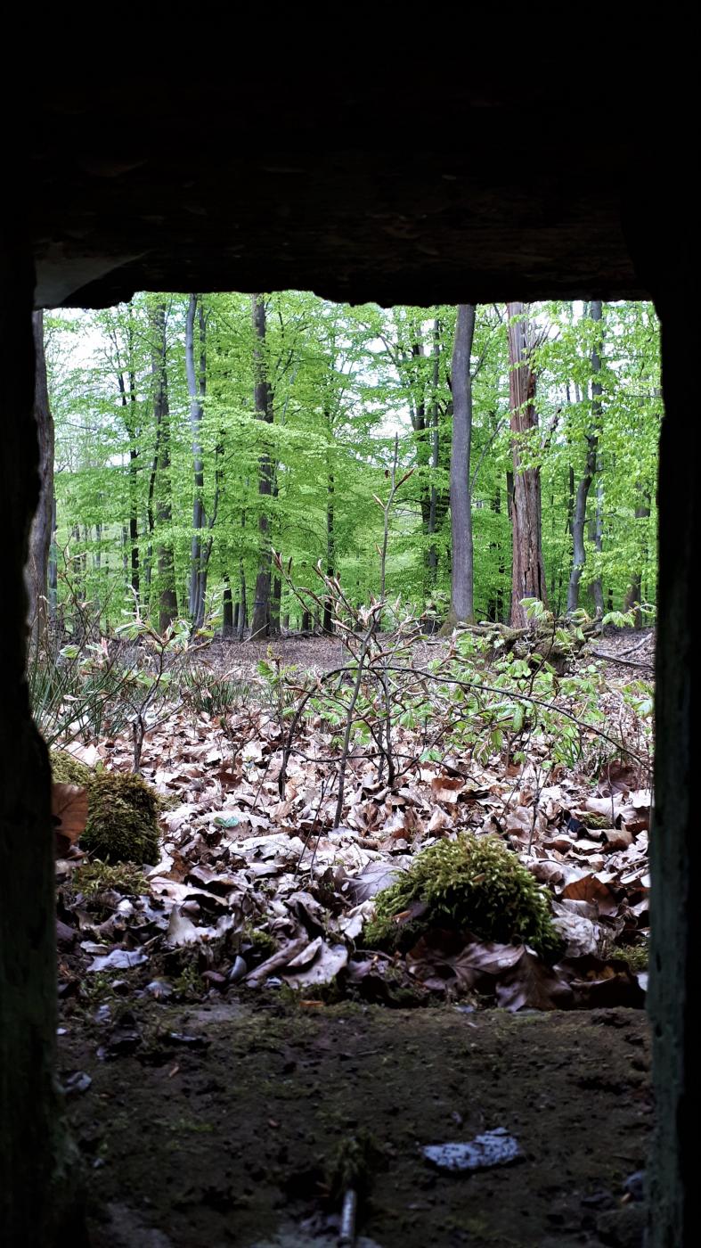 Ligne Maginot - FM36 - HOHLSTEIN 2 - (Blockhaus pour arme infanterie) - Vue depuis le créneau droit