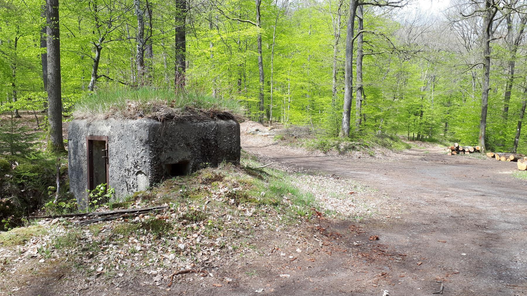 Ligne Maginot - FM38 - DIEBSKOPF 2 - (Blockhaus pour arme infanterie) - Entrée et créneau arrière droit