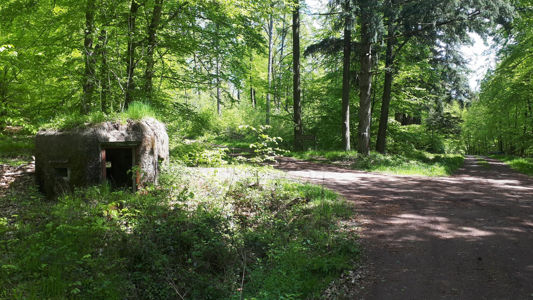 Ligne Maginot - FM48 - NONNENHARDT EST 5 - (Blockhaus pour arme infanterie) - Le blockhaus à un carrefour de chemins forestiers