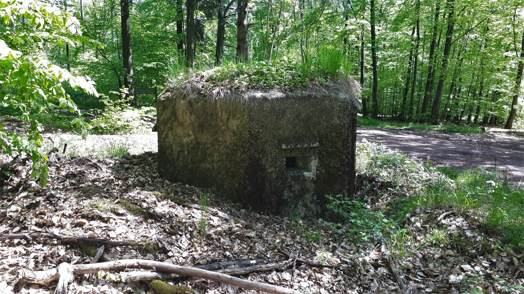 Ligne Maginot - FM48 - NONNENHARDT EST 5 - (Blockhaus pour arme infanterie) - Créneau arrière gauche