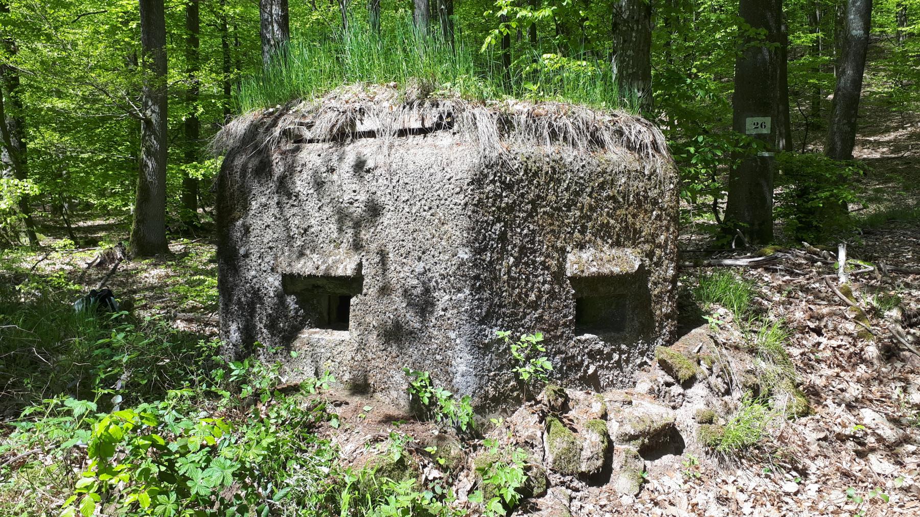 Ligne Maginot - FM48 - NONNENHARDT EST 5 - (Blockhaus pour arme infanterie) - Créneaux coté droit