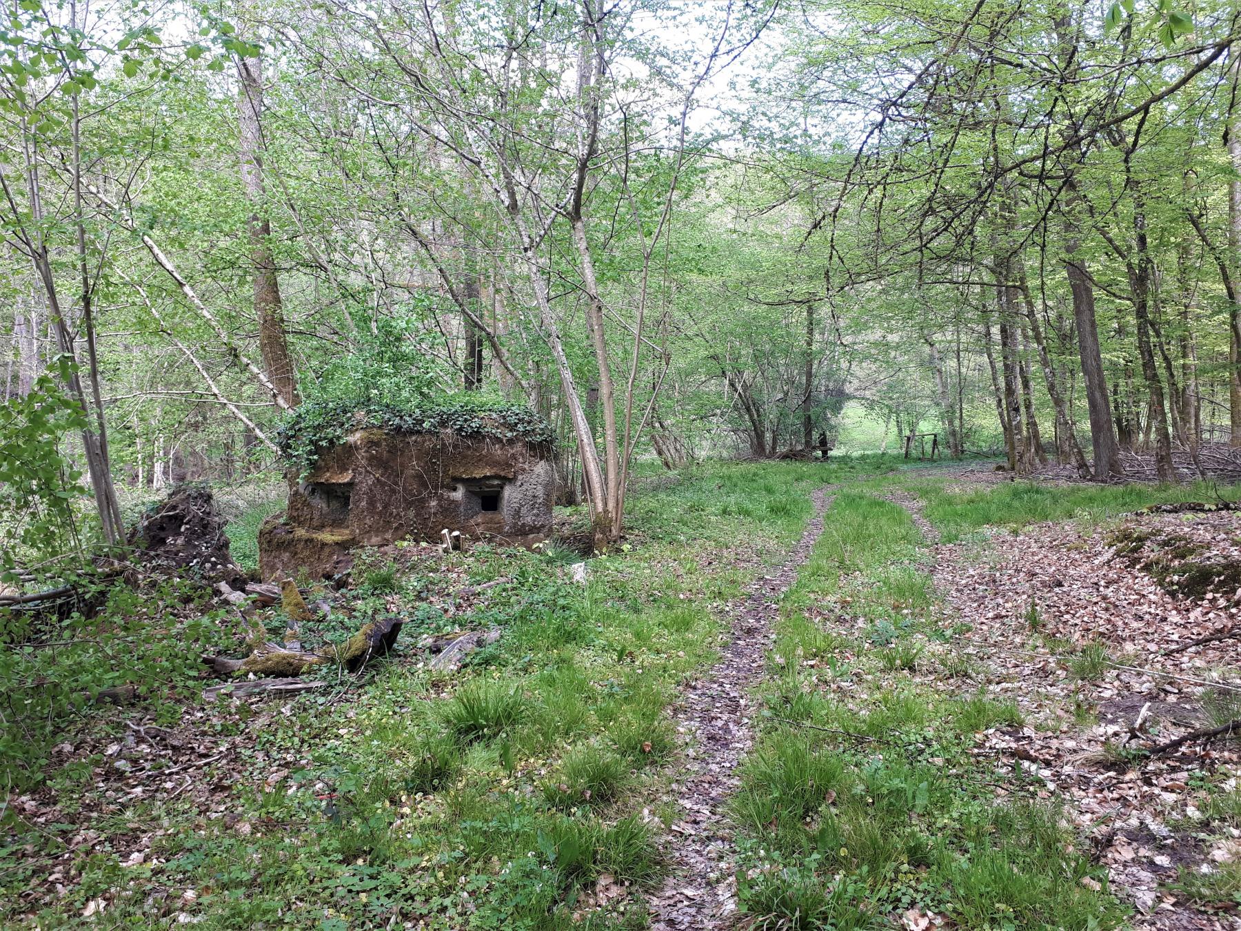 Ligne Maginot - FM27 - TRAUTBACH 3 - (Blockhaus pour arme infanterie) - Le blockhaus bordant le chemin du Trautbach