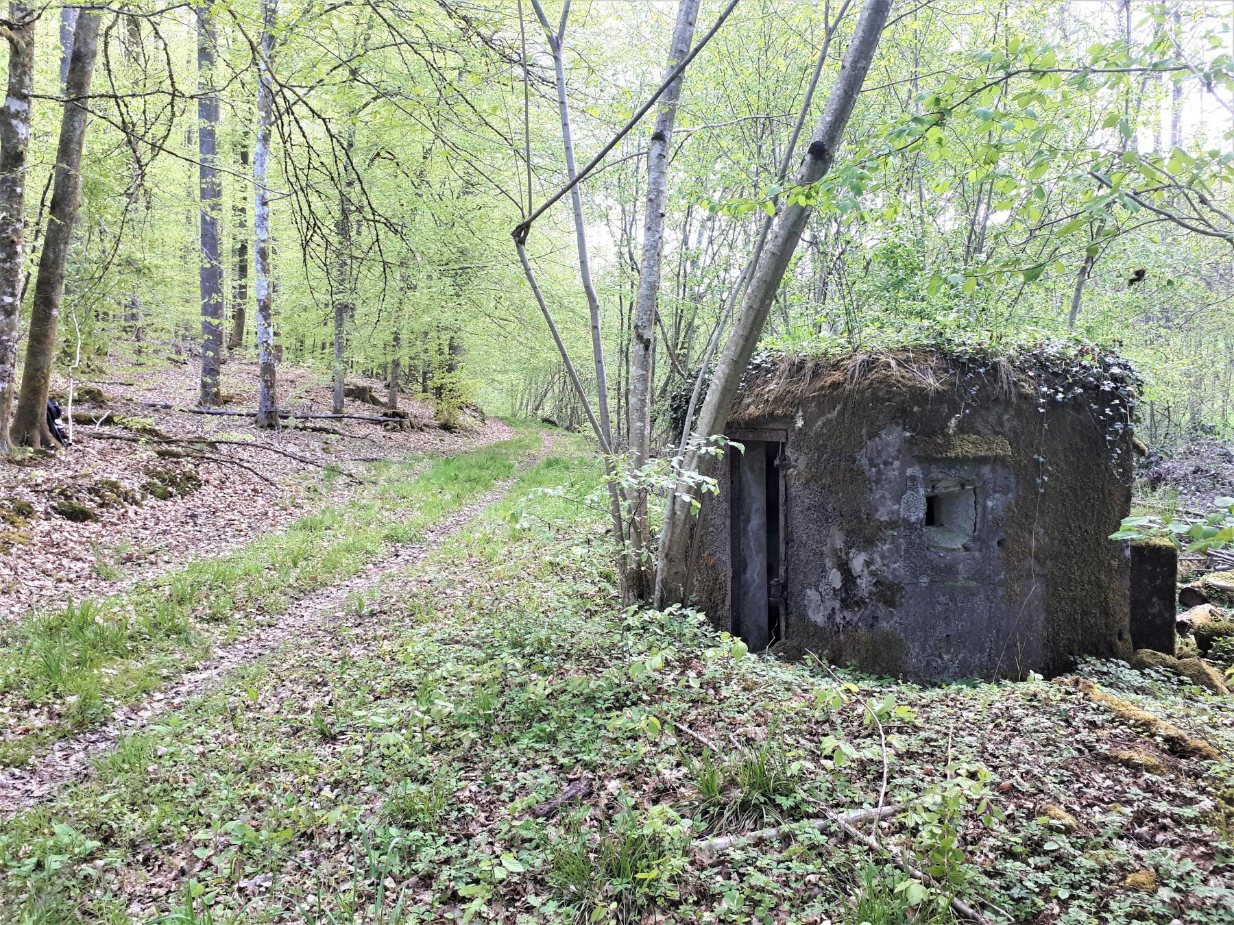 Ligne Maginot - FM27 - TRAUTBACH 3 - (Blockhaus pour arme infanterie) - Le blockhaus bordant le chemin du Trautbach