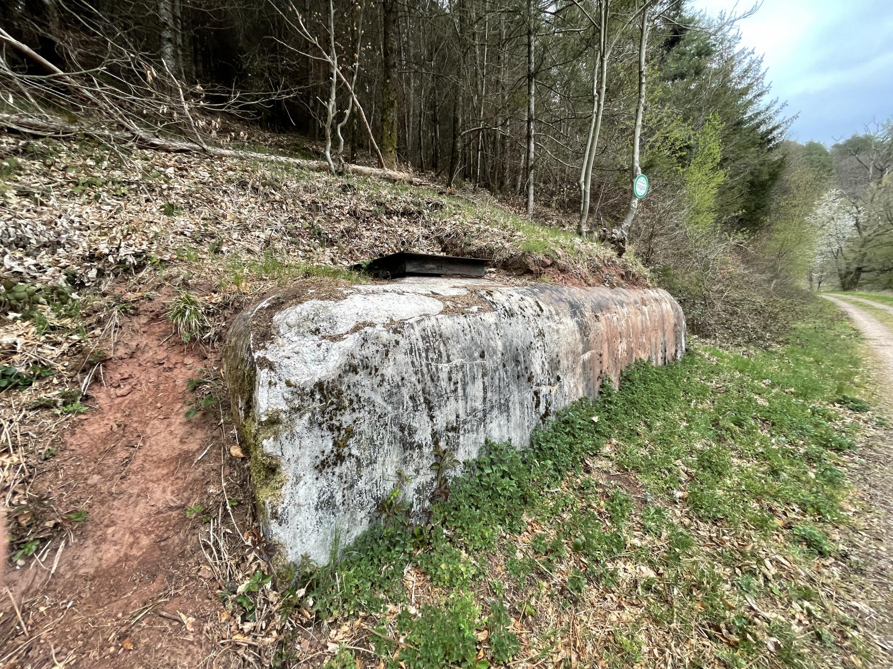 Ligne Maginot - B01 - (Chambre de coupure) - La chambre de coupure dégagée en 2021