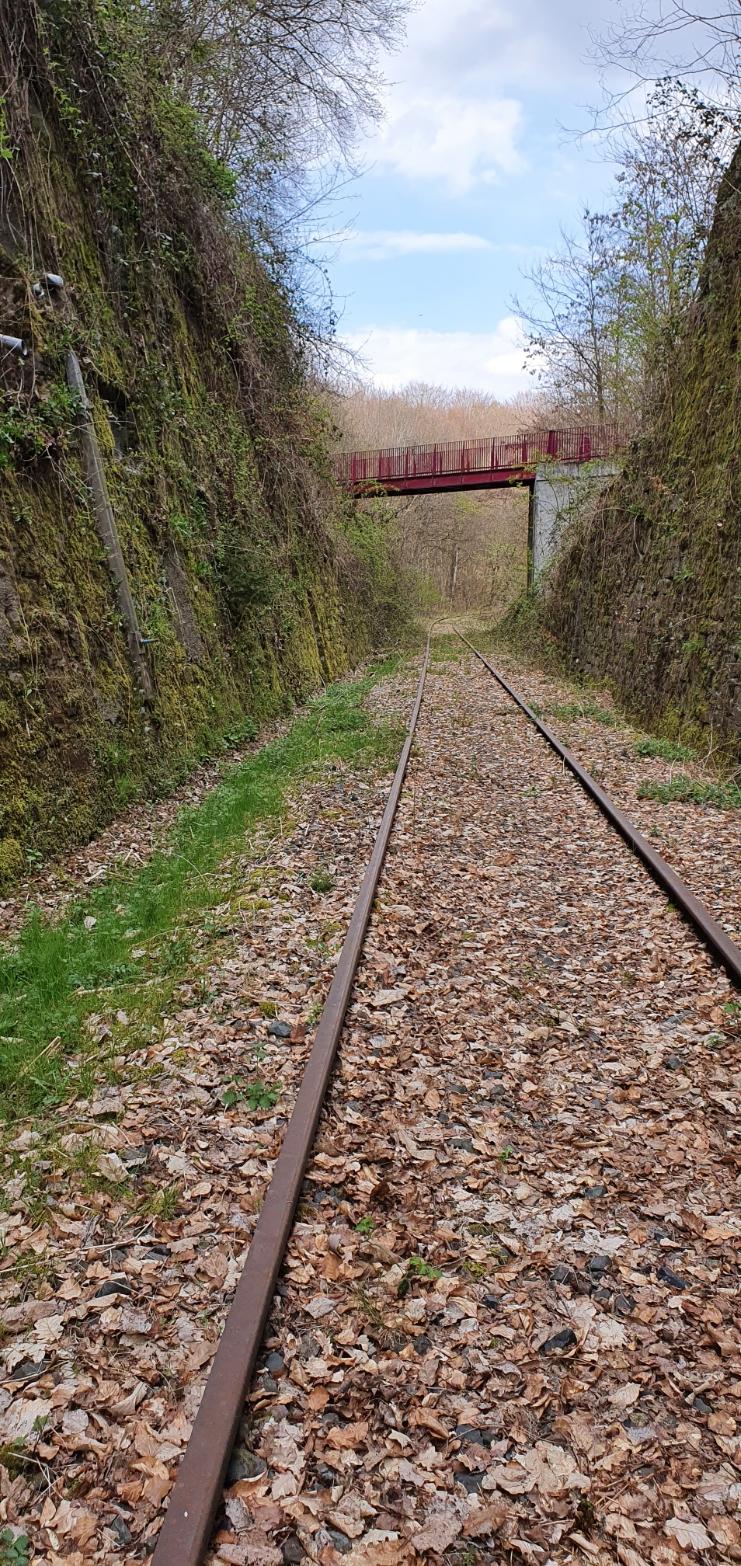 Ligne Maginot - VF60 - ANTENNE DE L'OUVRAGE DU SIMSERHOF - (RESEAU - Voie 60 - Antenne ou rocade ferroviaire) - LEMBERG - Katzenfelden
Pont ferroviaire voie de 60 au-dessus de la VN