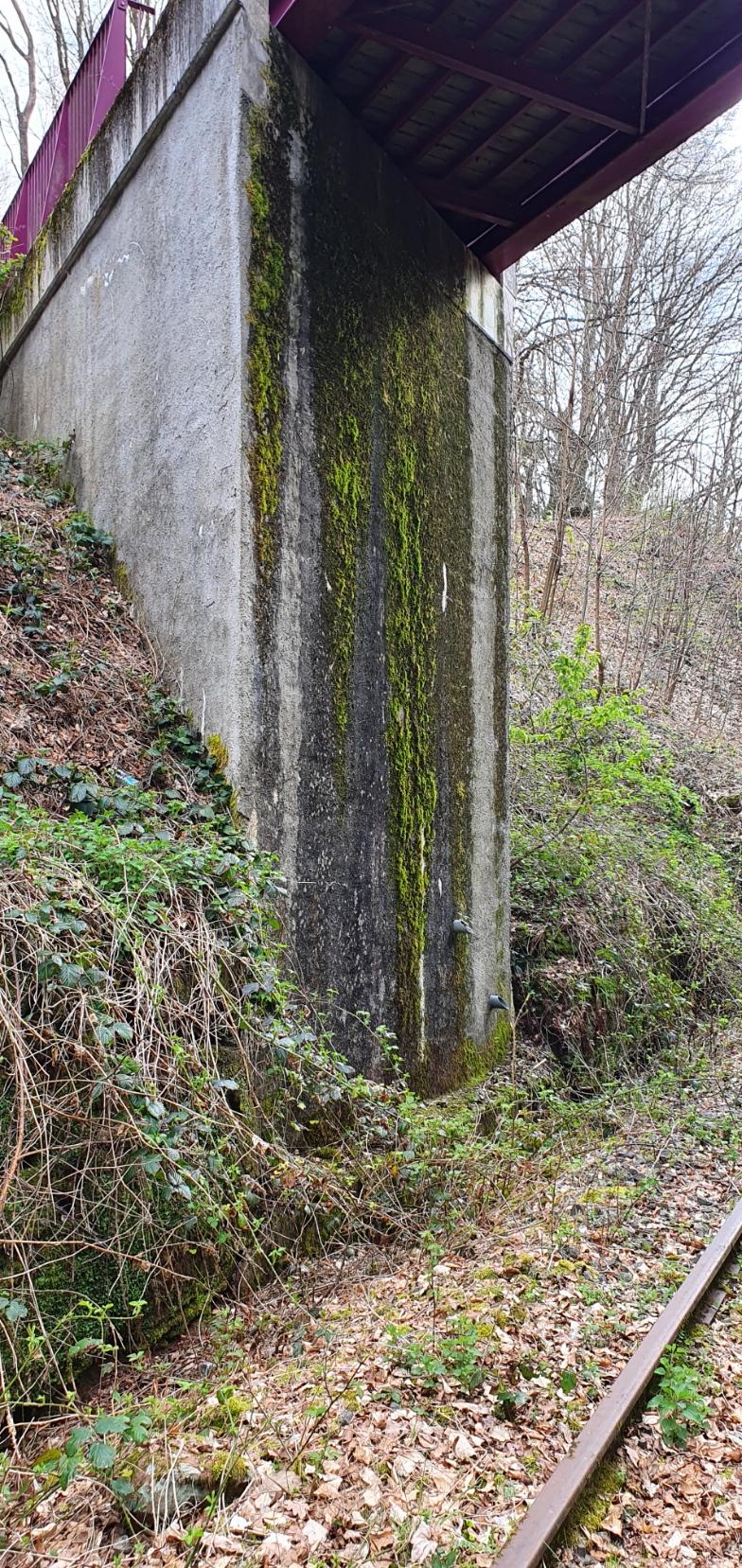 Ligne Maginot - VF60 - ANTENNE DE L'OUVRAGE DU SIMSERHOF - (RESEAU - Voie 60 - Antenne ou rocade ferroviaire) - LEMBERG - Katzenfelden
Pont ferroviaire voie de 60 au-dessus de la VN