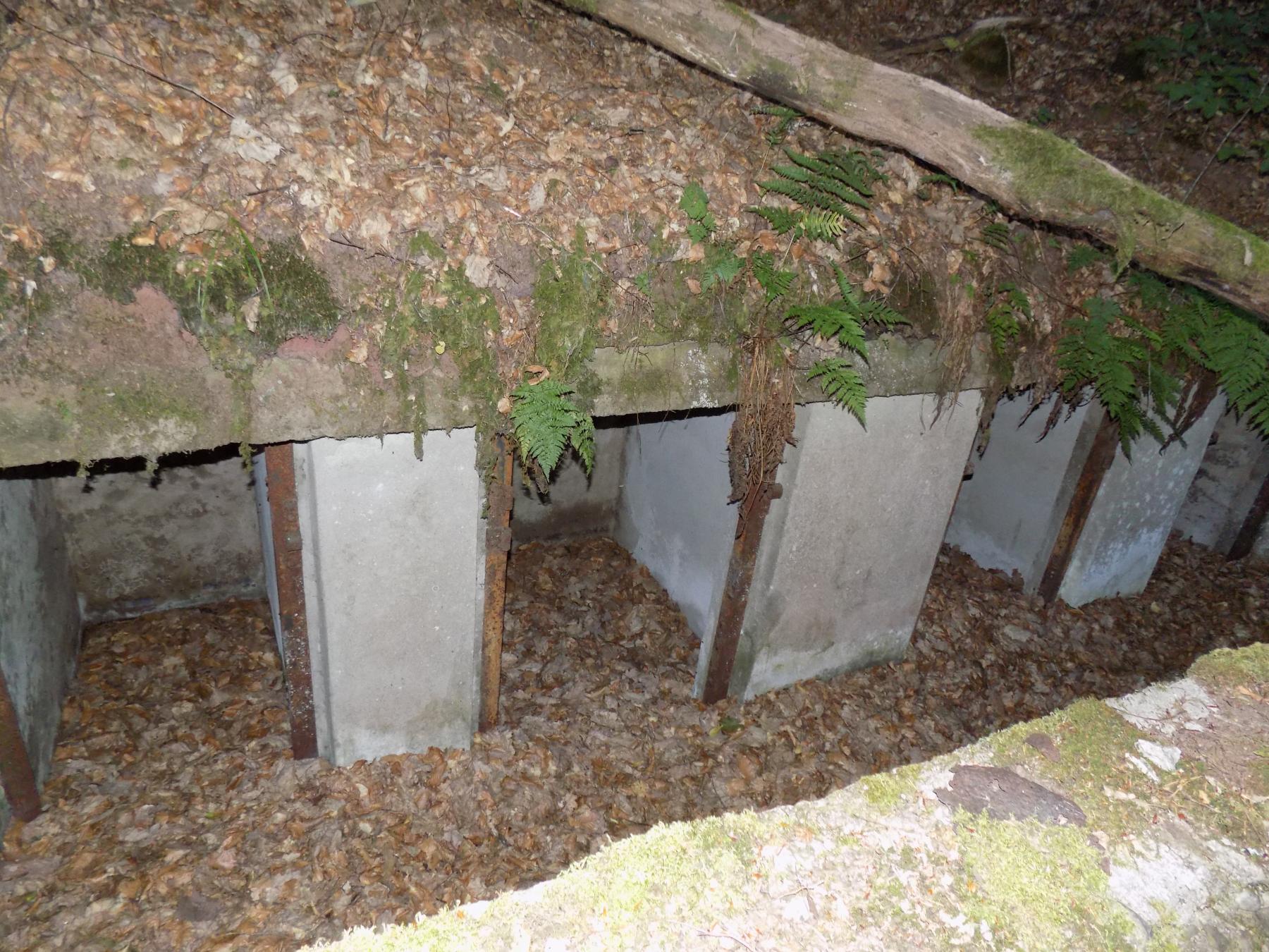 Ligne Maginot - ROTHENBOURG - (Casemate d'infanterie) - Des niches à matériels ou à mines