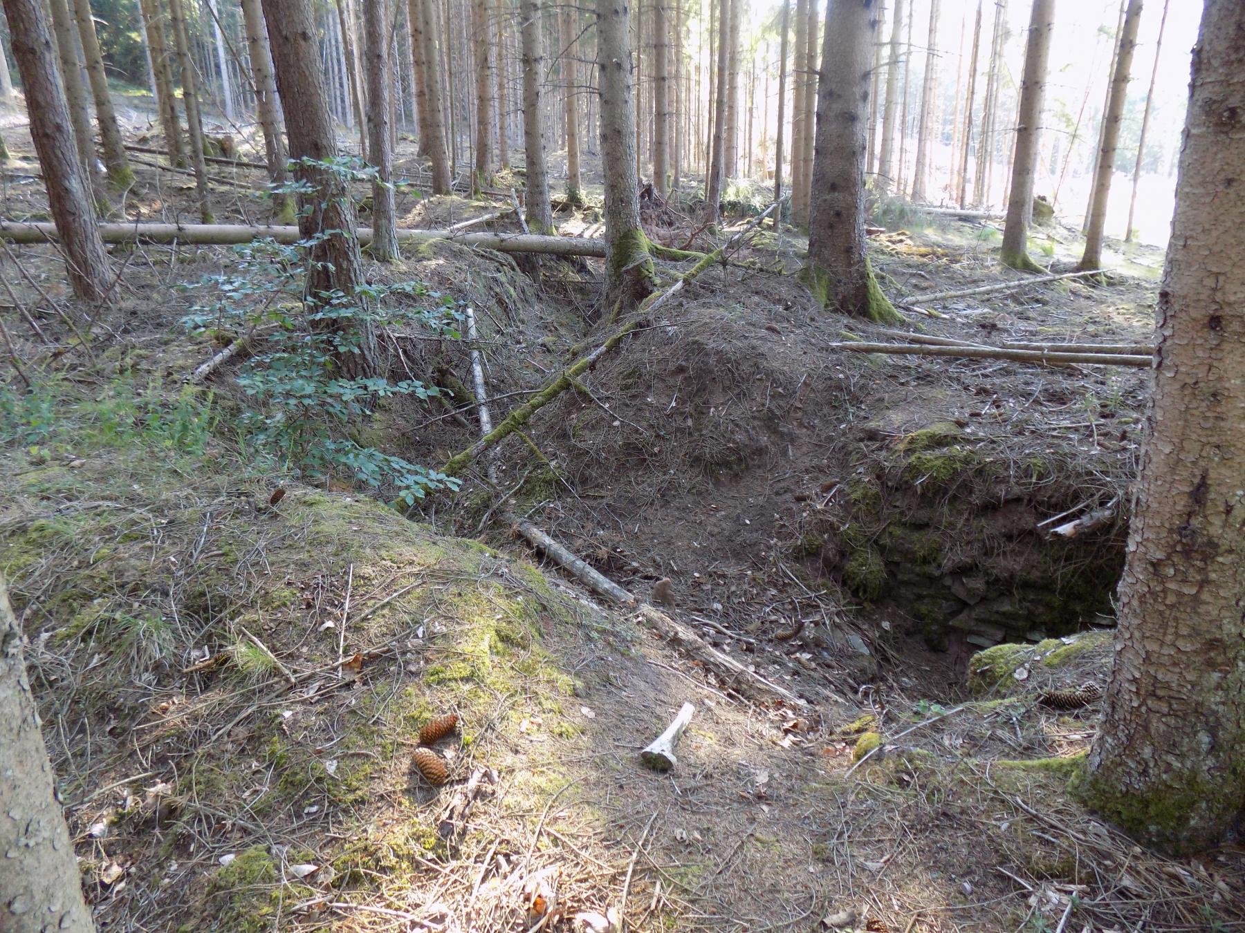 Ligne Maginot - ERBSENTHAL 1 - (Blockhaus pour arme infanterie) - tranchée d'accès a l'entrée