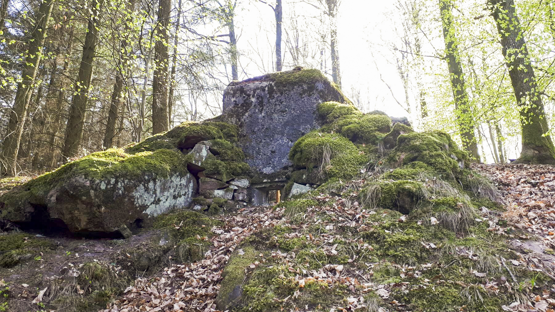 Ligne Maginot - FM35 - NONNENHARDT OUEST 1 - (Blockhaus pour arme infanterie) - Créneau frontal