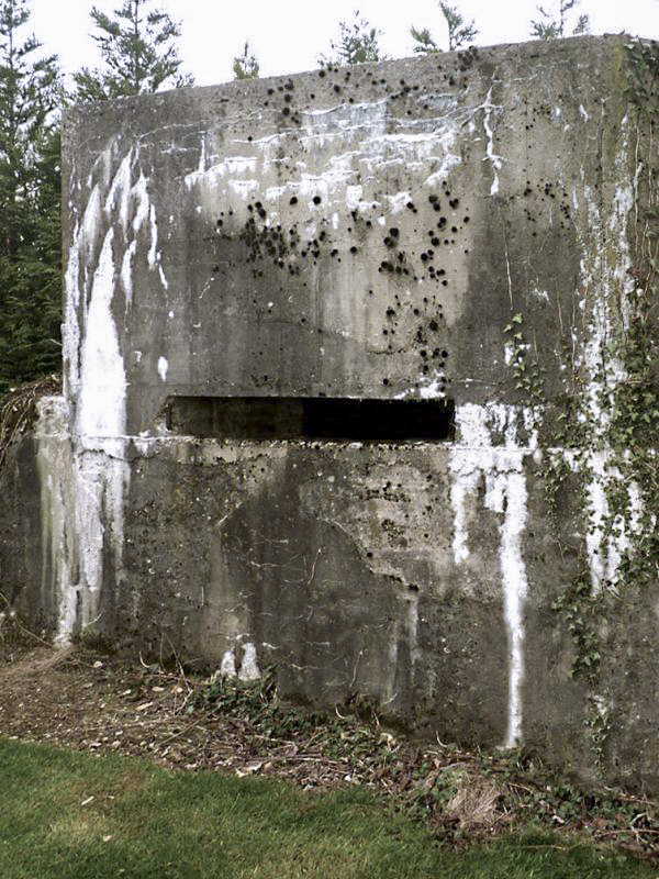 Ligne Maginot - B104 - RYVELD - (Observatoire indéterminé) - 
