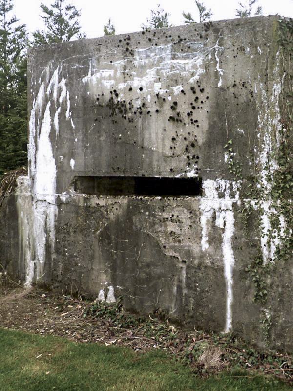 Ligne Maginot - B104 - RYVELD (Observatoire indéterminé) - 