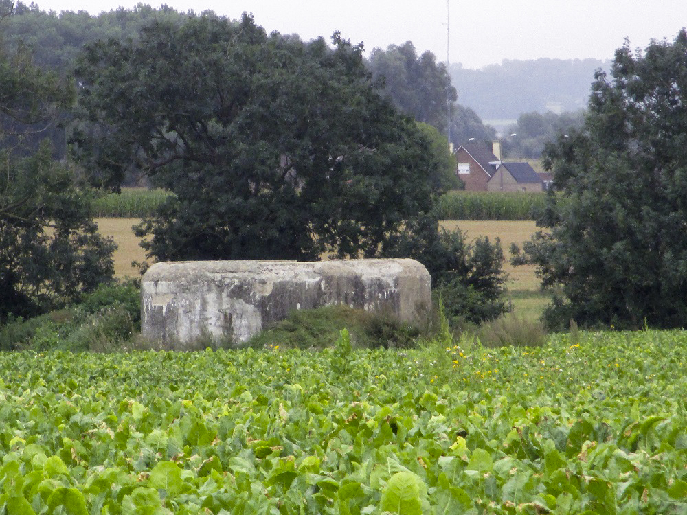 Ligne Maginot - B109 - CONSTANTINE (Blockhaus pour canon) - Vue prise depuis le chemin des Cendres.