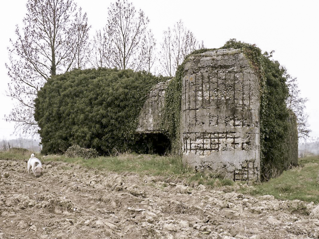 Ligne Maginot - CEZF-E - ZERMEZEELE - (Casemate d'infanterie - double) - 