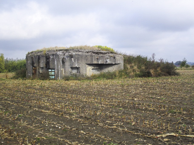 Ligne Maginot - B334 - LA PLAINE NORD - (Blockhaus pour canon) - Blockhaus situé dans son environnement.