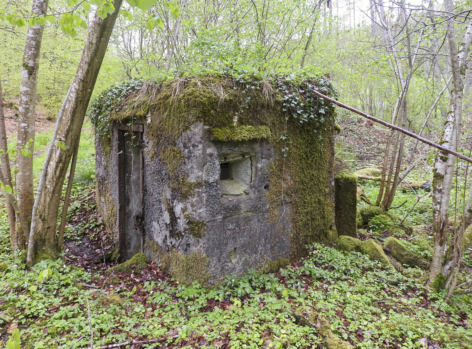 Ligne Maginot - FM27 - TRAUTBACH 3 - (Blockhaus pour arme infanterie) - L'entrée et le créneau droit