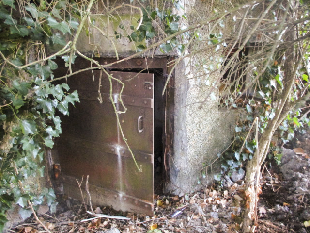 Ligne Maginot - B309 - PONT à TRESSIN SUD - (Blockhaus pour canon) - 