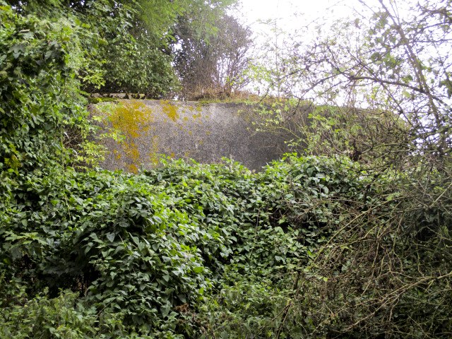 Ligne Maginot - B304 - PETIT MARAIS - (Blockhaus pour canon) - Vu de la GR 121 B.