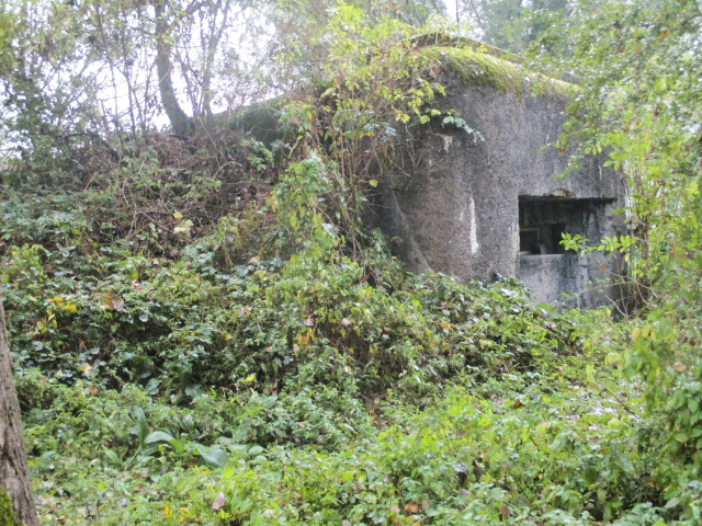 Ligne Maginot - B322 - MELCHAMEZ Sud (Blockhaus pour canon) - 
