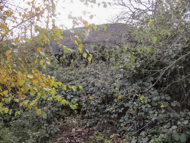 Ligne Maginot - B361 - CUL DU FOUR EST - (Blockhaus pour canon) - Situé entre le chemin de terre venant du Grand Ridoir et la rue du Gris Massart.