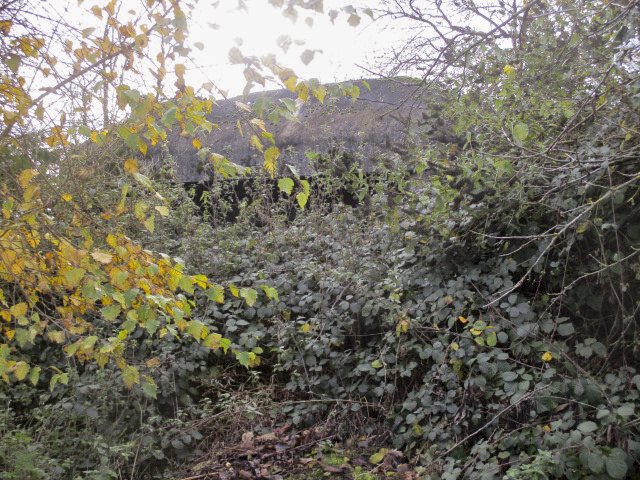 Ligne Maginot - B361 - CUL du FOUR Est (Blockhaus pour canon) - Situé entre le chemin de terre venant du Grand Ridoir et la rue du Gris Massart.