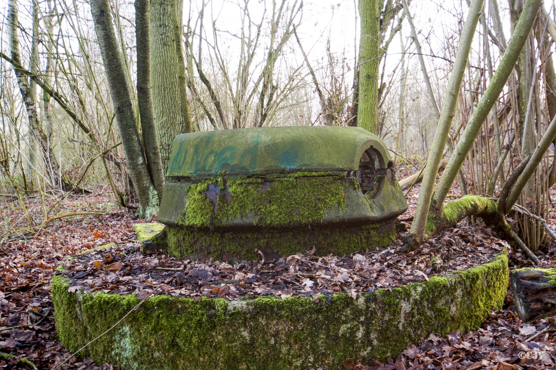 Ligne Maginot - T8 - BOIS DE LA TASSONNIERE EST (TD N° 358) - (Cuve pour arme d'infanterie) - 