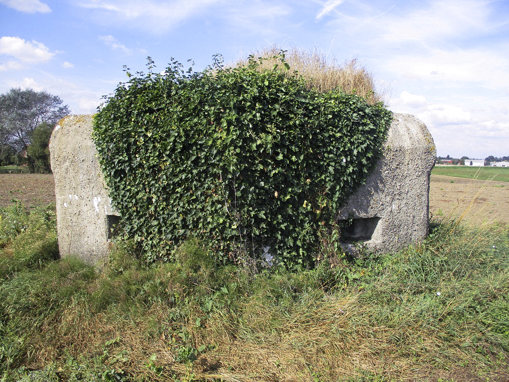 Ligne Maginot - BEF 256 - LE PURGATOIRE EST - (Blockhaus pour arme infanterie) - 