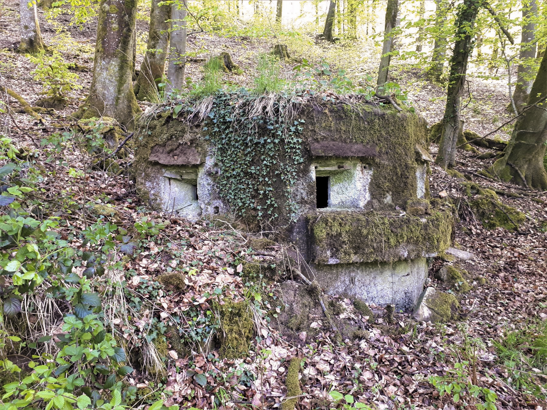 Ligne Maginot - FM28 - TRAUTBACH 2 - (Blockhaus pour arme infanterie) - Le créneau droit