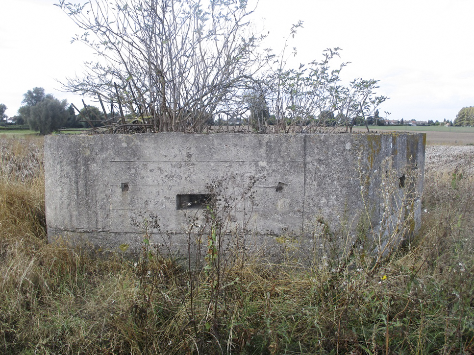 Ligne Maginot - BEF 272 - DRONKAERT NORD 1 - (Blockhaus pour arme infanterie) - 