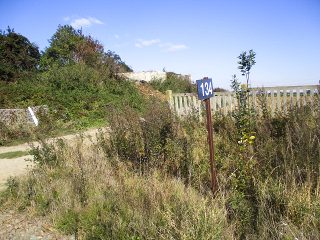 Ligne Maginot - BEF 294 - L'EPINE NORD OUEST - (Blockhaus pour canon) - Blockhaus dans son environnement à proximité du PN N° 134 de la voie ferrée Somain Halluin.