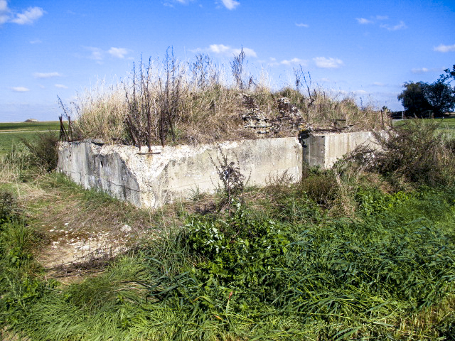 Ligne Maginot - BEF 665 - CHAPELLE AUX ARBRES 5 - (Blockhaus pour arme infanterie) - 