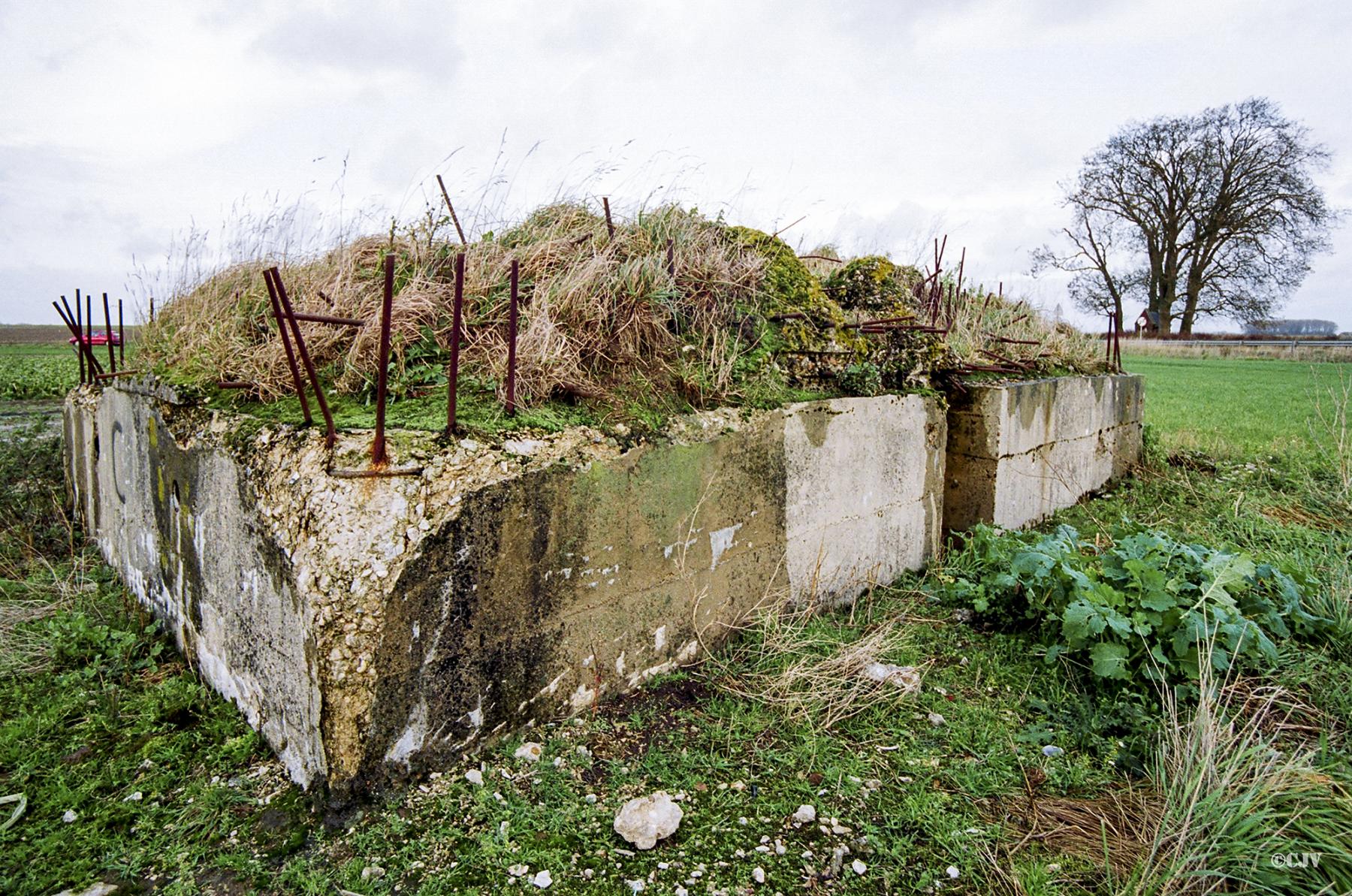 Ligne Maginot - BEF 665 - CHAPELLE AUX ARBRES 5 - (Blockhaus pour arme infanterie) - 