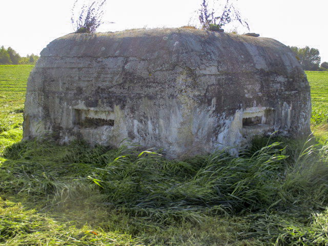 Ligne Maginot - BEF 664 - CHAPELLE AUX ARBRES 1 - (Blockhaus pour arme infanterie) - Face orientée côté nord