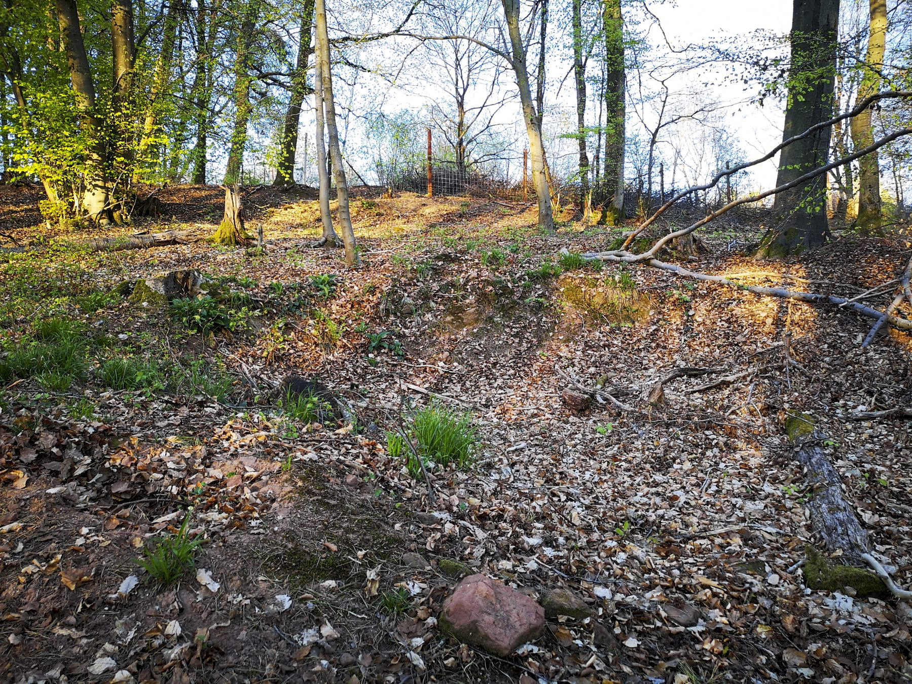 Ligne Maginot - WASSERLOCH (2° BIE - 60° RAMF) - (Position d'artillerie préparée) - Un des emplacements probables de pièces