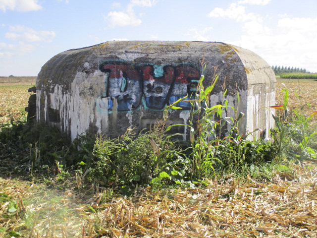 Ligne Maginot - BEF 353 - BAS DU CHEMIN DE CAMPHIN 1 - (Blockhaus pour arme infanterie) - 
