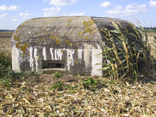 Ligne Maginot - BEF 353 - BAS DU CHEMIN DE CAMPHIN 1 - (Blockhaus pour arme infanterie) - 